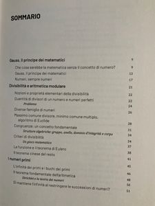 Grandi idee della matematica - n. 20 - La regina della matematica