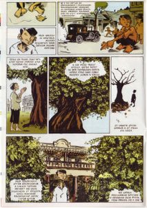 Intercat 3 (03)