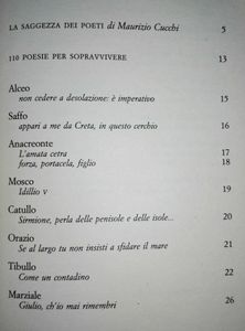 110 Poesie per Sopravvivere