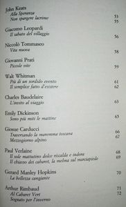 110 Poesie per Sopravvivere