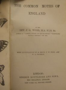 The Common Moths of England