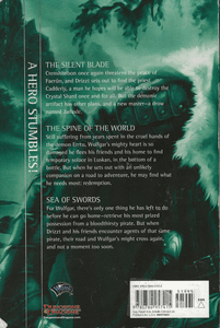 The Legend of Drizzt: Collectors Edition, Book IV