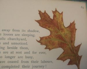Evangeline: A Tale of Acadie