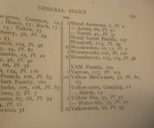 Wayside and Woodland Blossoms: A Guide to British Wild Flowers - Third Series