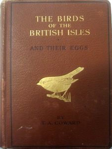 The Birds of the British Isles and their Eggs - First Series