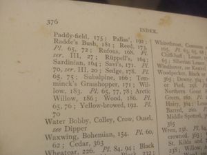 The Birds of the British Isles and their Eggs - First Series