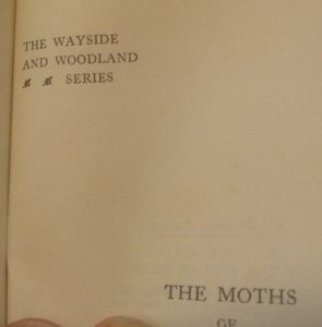 The Moths of the British Isles - Series I