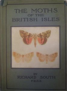 The Moths of the British Isles - Series II