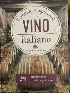 Il grande viaggio nel vino italiano