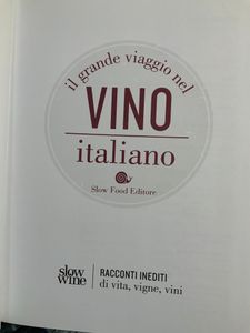 Il grande viaggio nel vino italiano