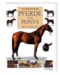 Das Große Buch Der Pferde Und Ponys: Rassen, Sport, Haltung, Pflege