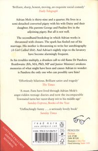 Adrian Mole: The Prostrate Years