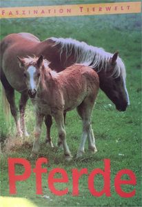 Faszination Tierwelt: Pferde