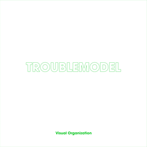 Troublemodel by Visual Organization