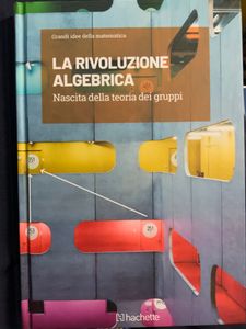 Grandi idee della matematica - n. 21 - La rivoluzione algebrica