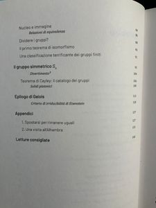 Grandi idee della matematica - n. 21 - La rivoluzione algebrica