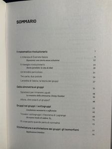 Grandi idee della matematica - n. 21 - La rivoluzione algebrica