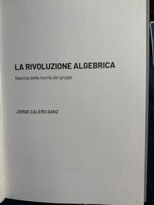 Grandi idee della matematica - n. 21 - La rivoluzione algebrica