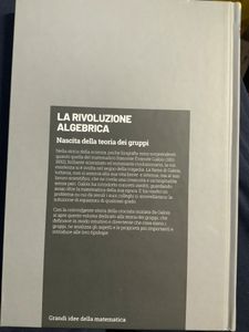 Grandi idee della matematica - n. 21 - La rivoluzione algebrica