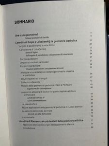 Grandi idee della matematica - n. 22 - Oltre Euclide