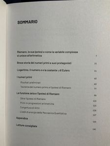 Grandi idee della matematica - n. 24 - L'ipotesi di Rieman