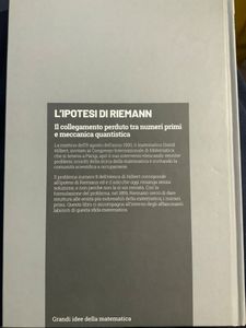 Grandi idee della matematica - n. 24 - L'ipotesi di Rieman