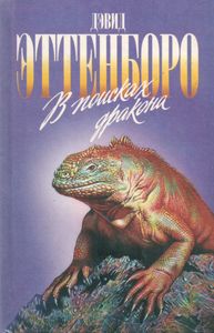 В Поисках Дракона