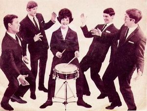 The Honeycombs