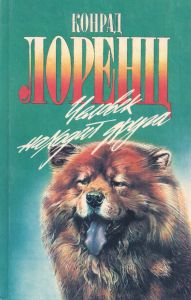 Человек Находит Друга