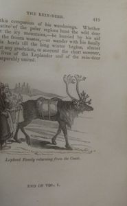The Menageries. Quadrupeds, Described and Drawn from Living Subjects. Volume I