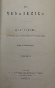 The Menageries. Quadrupeds, Described and Drawn from Living Subjects. Volume II