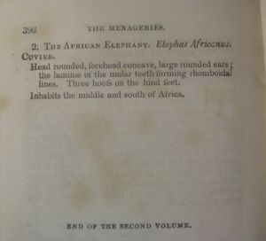 The Menageries. Quadrupeds, Described and Drawn from Living Subjects. Volume II