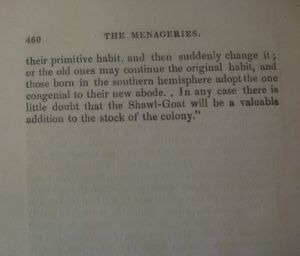 The Menageries. Quadrupeds, Described and Drawn from Living Subjects. Volume III