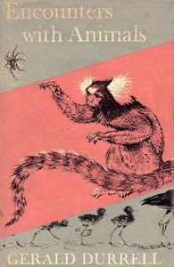 Encounters With Animals