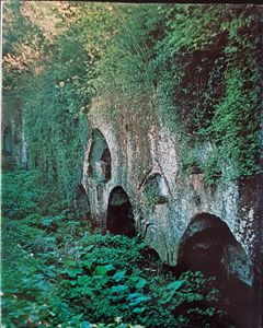 Etruscan Cities