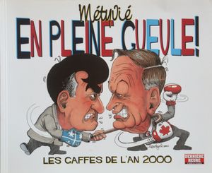 En Pleine Gueule - Les Gaffes de l'an 2000