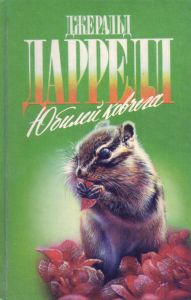 Юбилей Ковчега
