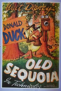 Walt Disney's Movie Poster Book