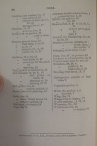 Multum-in-Parvo Gardening