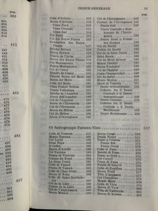 Guida dei Monti d'Italia - Alpi Pennine - Volume II