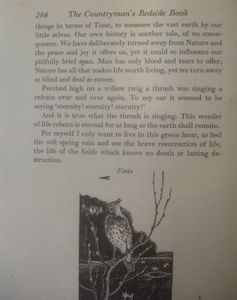 The Countryman's Bedside Book