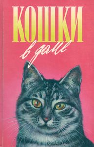 Кошки В Доме