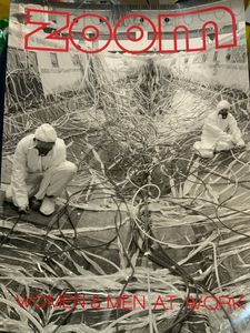 Zoom (N. 243)