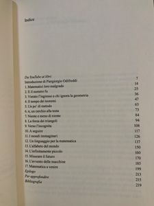 Il grande romanzo della matematica. Dalla preistoria ai giorni nostri