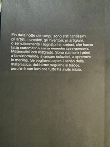 Il grande romanzo della matematica. Dalla preistoria ai giorni nostri