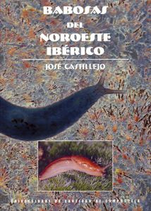 Babosas del Noroeste Ibérico