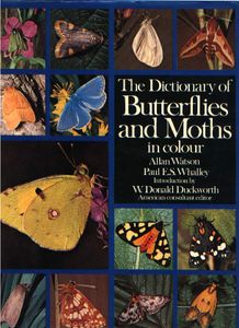 The Dictionary of Butterflies and Moths in Colour