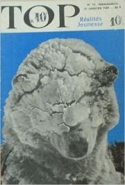 TOP n° 010