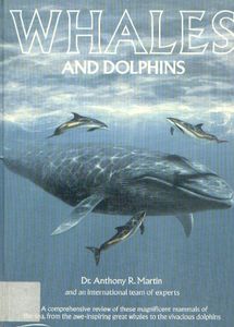 Whales and Dolphins
