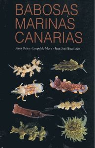 Babosas Marinas Canarias